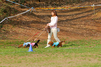 picnic_land_A-0002.jpg