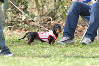 picnic_land_A-0009.jpg