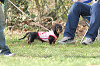 picnic_land_A-0009_thumb.png