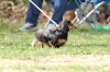 picnic_land_A-0010_thumb.png
