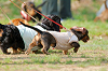 picnic_land_A-0017_thumb.png