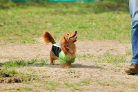 picnic_land_A-0021.jpg