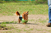 picnic_land_A-0021_thumb.png