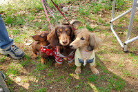 picnic_land_A-0041.jpg