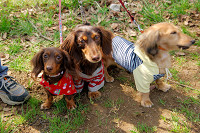 picnic_land_A-0043.jpg