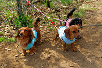 picnic_land_A-0053.jpg