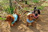 picnic_land_A-0054_thumb.png