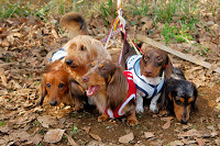 picnic_land_A-0060.jpg