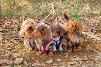picnic_land_A-0061.jpg