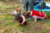 picnic_land_A-0066_thumb.png
