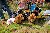 picnic_land_A-0076.jpg