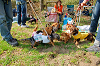 picnic_land_A-0077_thumb.png
