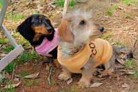 picnic_land_A-0080.jpg