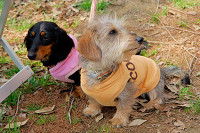 picnic_land_A-0081.jpg