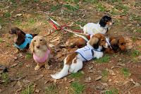 picnic_land_A-0082.jpg
