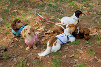 picnic_land_A-0083.jpg