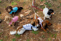 picnic_land_A-0084.jpg