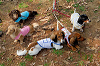 picnic_land_A-0084_thumb.png