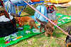 picnic_land_A-0085_thumb.png