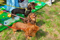 picnic_land_A-0086.jpg