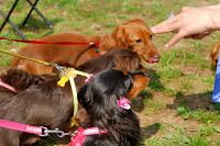 picnic_land_A-0089.jpg
