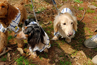 picnic_land_A-0092.jpg