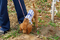 picnic_land_A-0094.jpg