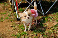 picnic_land_A-0095.jpg