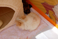 picnic_land_A-0096.jpg