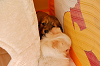picnic_land_A-0098_thumb.png