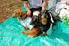 picnic_land_A-0103_thumb.png