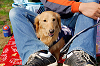 picnic_land_A-0109_thumb.png