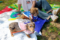 picnic_land_A-0110.jpg