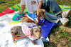 picnic_land_A-0110_thumb.png