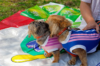 picnic_land_A-0113.jpg