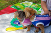 picnic_land_A-0113_thumb.png