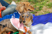 picnic_land_A-0114.jpg