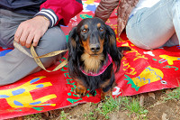 picnic_land_A-0119.jpg