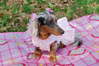 picnic_land_A-0126.jpg