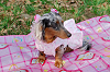 picnic_land_A-0126_thumb.png