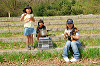 picnic_land_A-0131_thumb.png