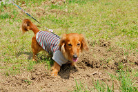 picnic_land_A-0132.jpg