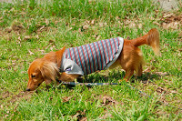 picnic_land_A-0134.jpg