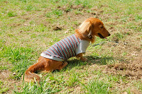 picnic_land_A-0136.jpg