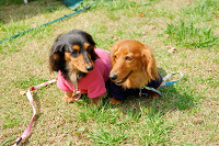 picnic_land_A-0144.jpg