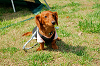 picnic_land_A-0147_thumb.png
