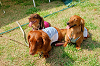 picnic_land_A-0151_thumb.png