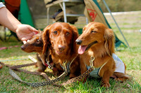picnic_land_A-0153.jpg