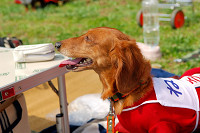 picnic_land_A-0168.jpg