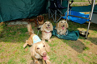 picnic_land_A-0171.jpg